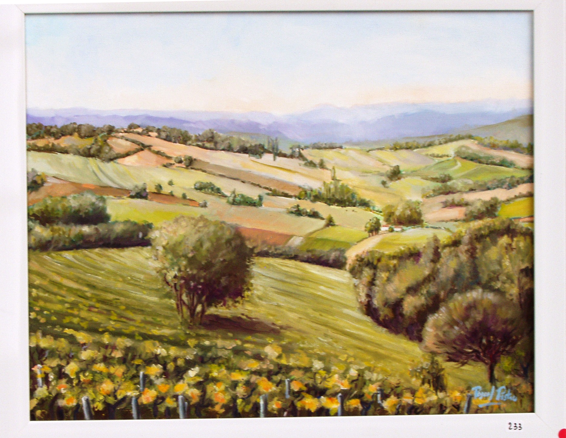 Pistre Pascal-huile-paysage Gaillacois
