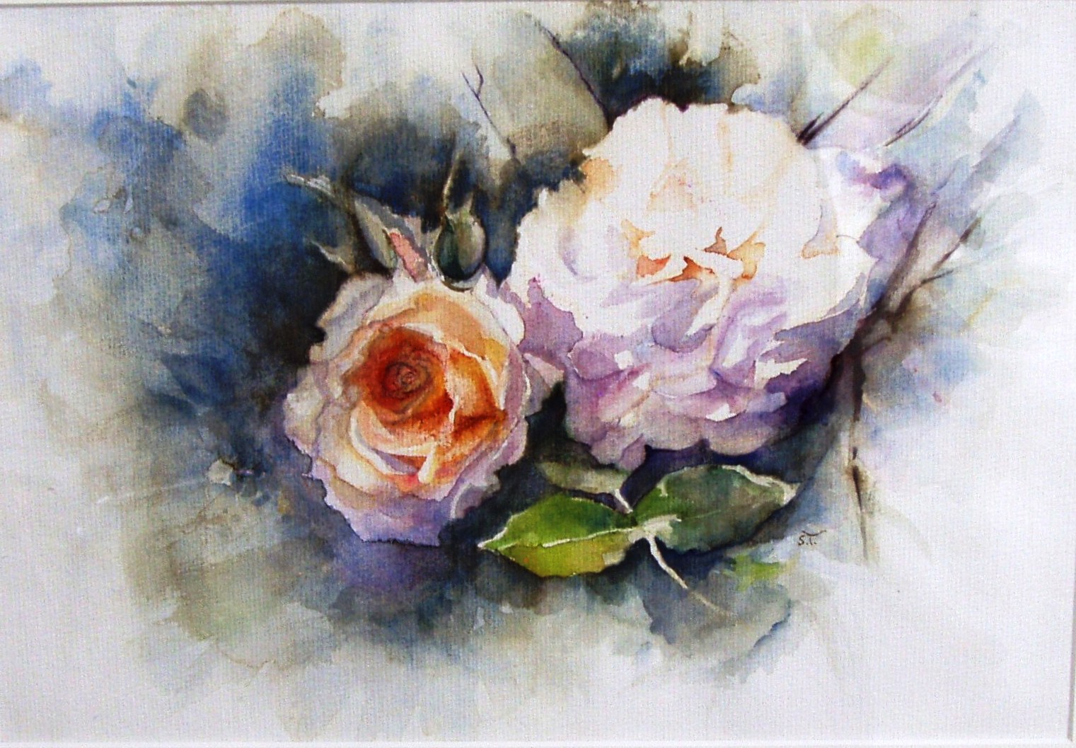 Thomas Sylvie-aquarelle-roses en liberté